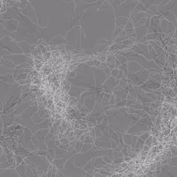 Phototaxis #91