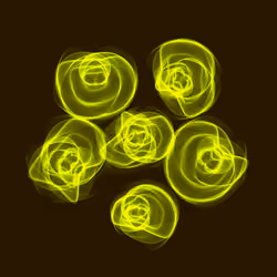 Flowers #527