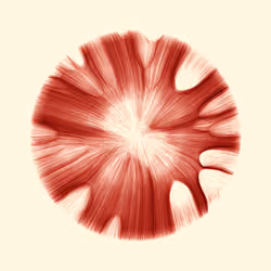 Gravity 12 #353