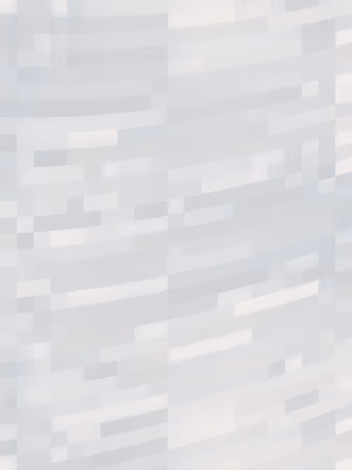 Item #332000299 Media