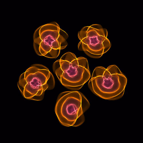 Flowers #2907