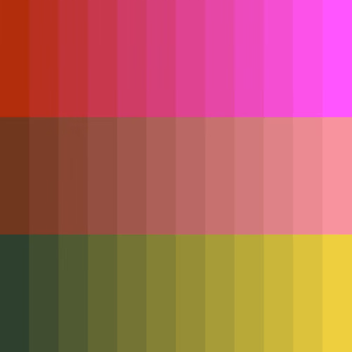 Color Study #811