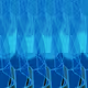278000281
