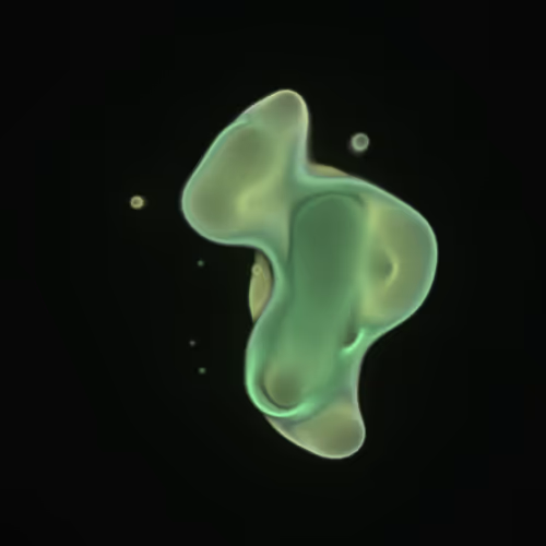 Item #62000422 Media