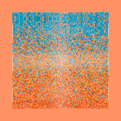 Transitions #4237