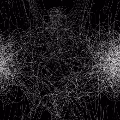 Phototaxis #383