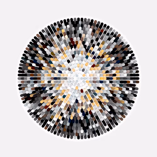 Transitions By Jason Ting X Matt Bilfield