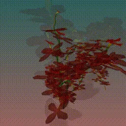 Item #279000019 Media