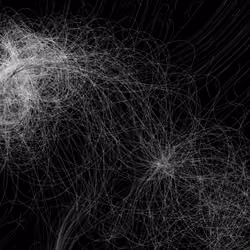 Phototaxis #567
