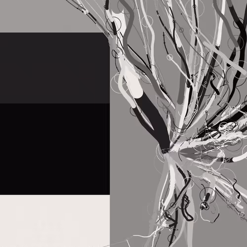 Item #216000864 Media