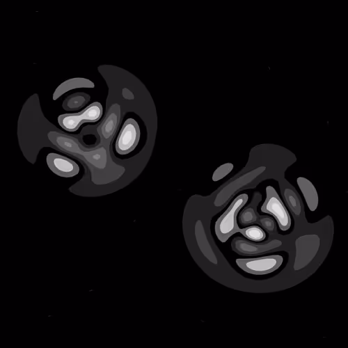 Quantum Collapses #237