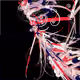 216000665