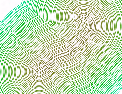 Item #335000010 Media