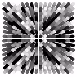 Transitions #3974