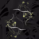 Seadragons #783