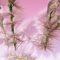 Item #279000138 Media