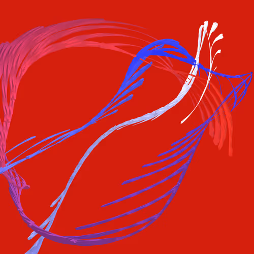 Item #268000009 Media