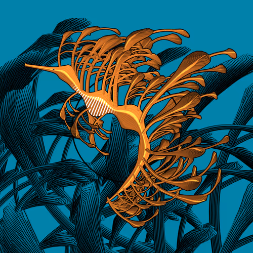 Seadragons #389