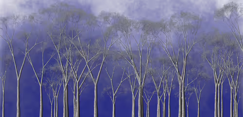 Item #254000113 Media