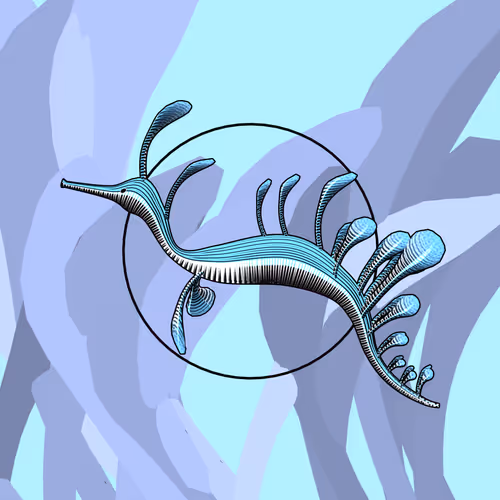 Seadragons #953