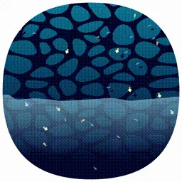 Item #107000017 Media