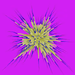 Star Flower #217