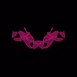 Cryptoblots #1166