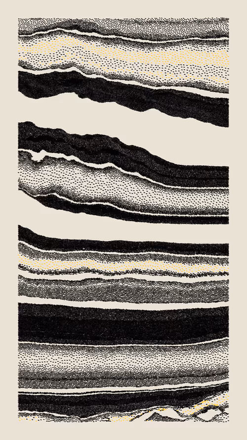 Item #163000164 Media