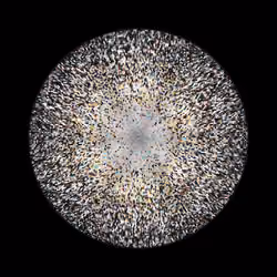 Transitions #657