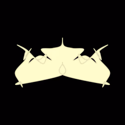 Cryptoblots #1093