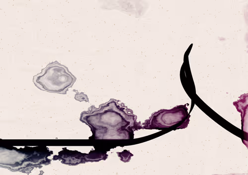 Item #328000181 Media