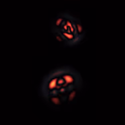 Quantum Collapses #109