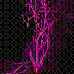 Item #279000166 Media