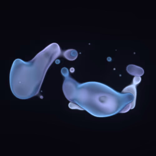 Item #62000122 Media