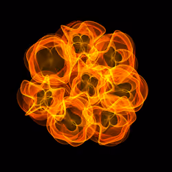 Flowers #3599