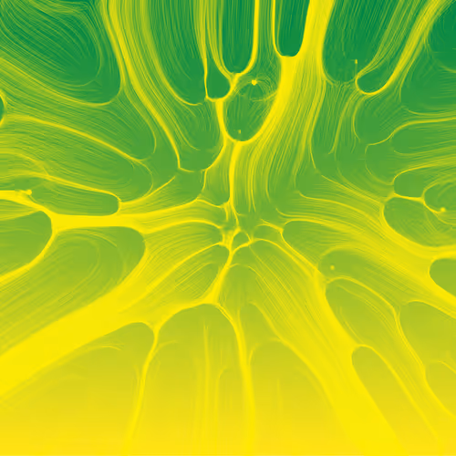 Item #165000548 Media