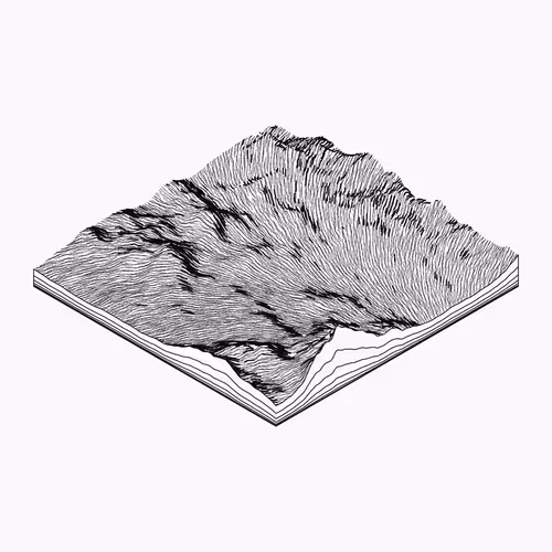 Item #53000432 Media