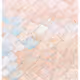 344000117