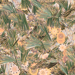 Fragments of an Infinite Field #872