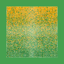 Transitions #1018