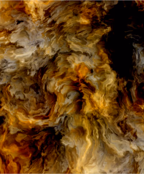 Item #129000493 Media