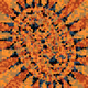 264000181