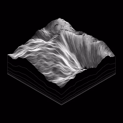 Item #53000009 Media