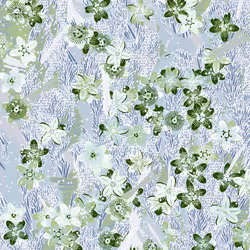 Fragments of an Infinite Field #223