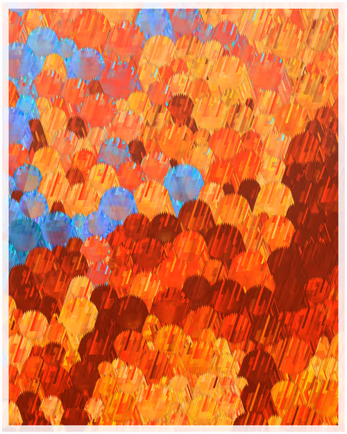 Item #344000290 Media