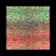117000520