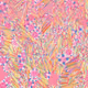 Fragments of an Infinite Field #702