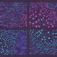 235000454