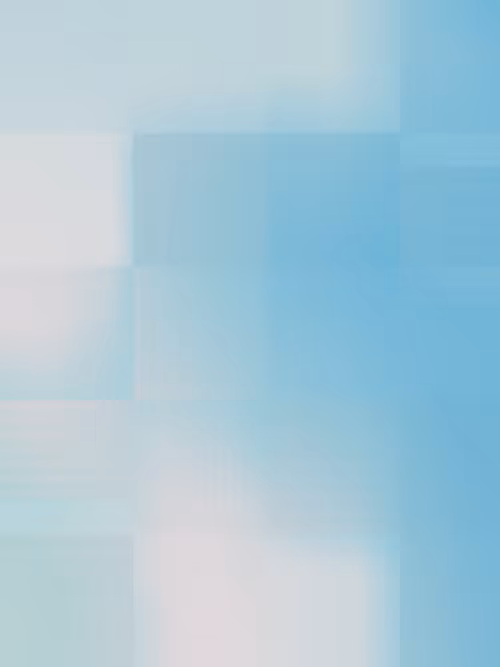 Item #332000079 Media