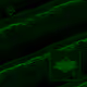 142000790